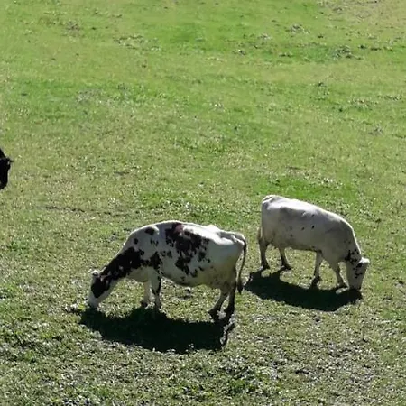 Hofstatthof Campo di Trens