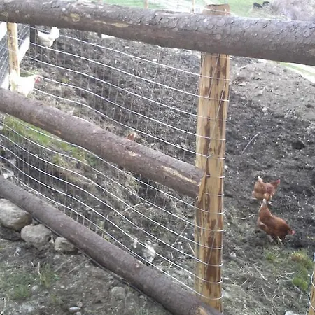 Farm stay Hofstatthof